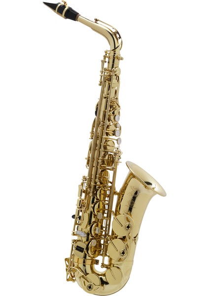Saksofon Selmer-Paris Axos Lacquered, Outfit Alto