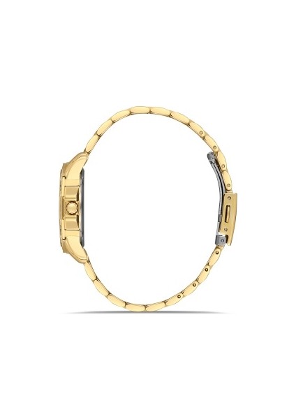 FL21540AWT-B Quartz Çelik Altın Rengi 32 mm Kadın Kol Saati fiyatları