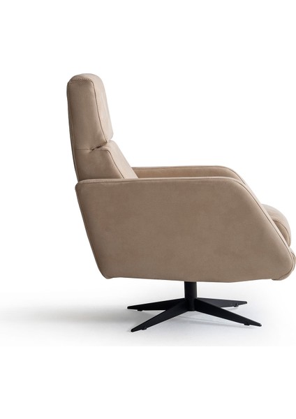 Modre Berjer modelleri