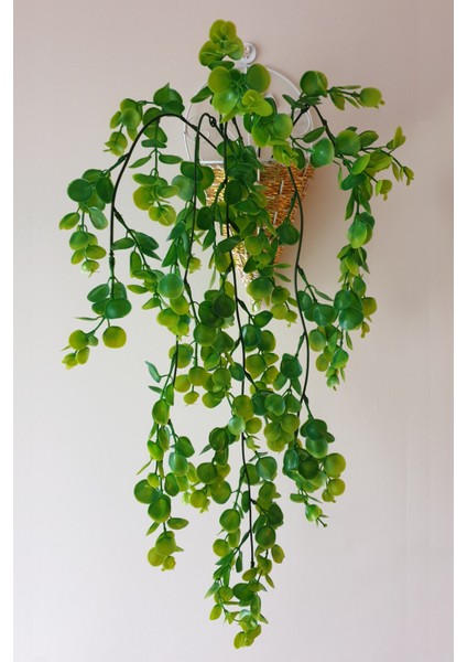 Yapay Okaliptus Sarkan Bitki 65 cm