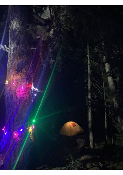 Renkli LED Işık, Yılbaşı Ağacı Işıkları 10 Metre 100 LED Parti Süs Dekor LED Işık fırsatları