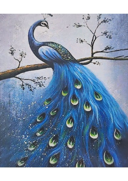 5d Elmas Taş Işleme Kiti 40X50 cm Mavi Tavuskuşu Desen fiyatları