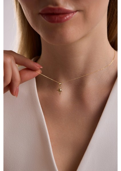 14 Ayar Kutup Yıldızı Altın Kolye fiyatları