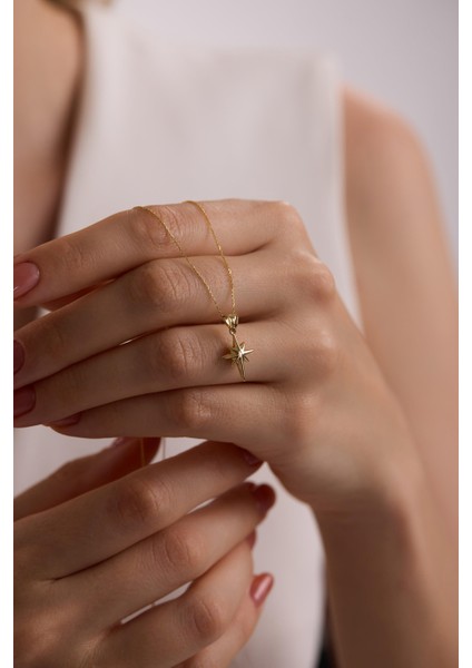 14 Ayar Kutup Yıldızı Altın Kolye modelleri