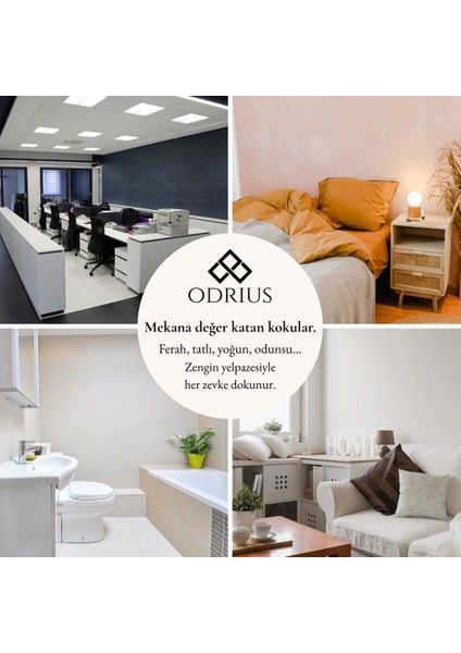 KACHKAR Kokulu Mum – Çam & Sedir – Ferah ve Temiz Koku – El Yapımı Uzun Süreli Mum – Soya & Hindistan Cevizi Bazlı ve Rafine Mineral ile Zenginleştirilmiş Özgün Mum Karışımı – 150 gram - ODRIUS modelleri