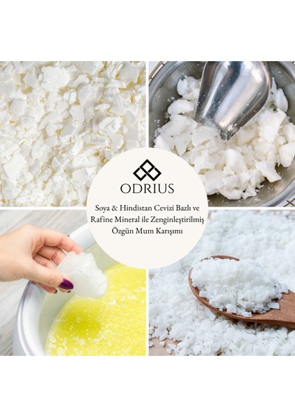 KACHKAR Kokulu Mum – Çam & Sedir – Ferah ve Temiz Koku – El Yapımı Uzun Süreli Mum – Soya & Hindistan Cevizi Bazlı ve Rafine Mineral ile Zenginleştirilmiş Özgün Mum Karışımı – 150 gram - ODRIUS indirimleri