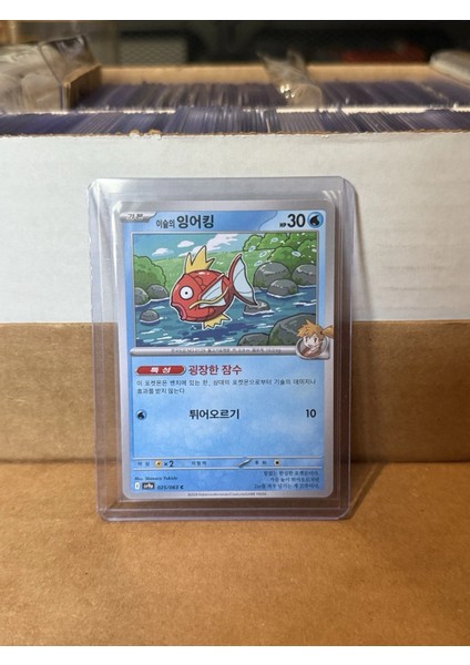 Misty's Magikarp Korece Orijinal Pokemon Kartı