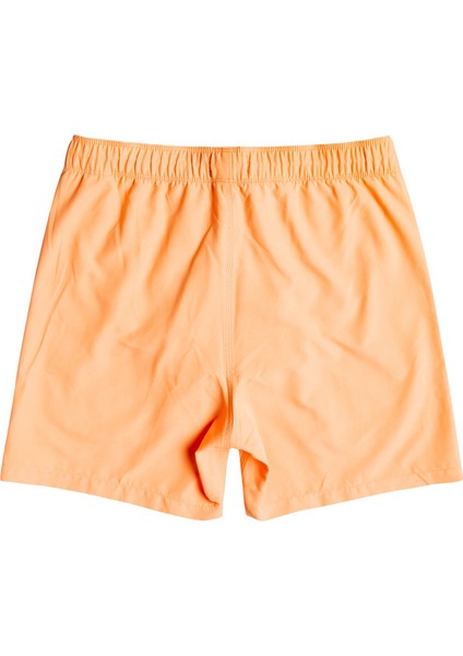 All Day LB Erkek Deniz Şortu C1LB12 fiyatları