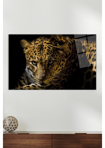 Vahşi Leopar Portresi Cam Tablo, Modern Ev Ofis Dekoru, Hediyelik Duvar Dekorasyonu, Kırılmaz Cam