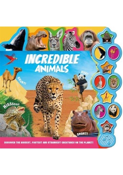 Incredible Animals (Ciltli)