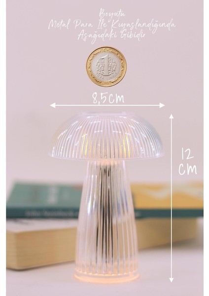 Çizgili Mantar Dekoratif Pilli LED Lamba modelleri