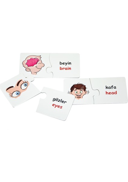 Eğitici Oyuncak Eşleştir Mukavva Puzzle Vücudumuz EDU-1008 modelleri