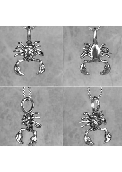 Paslanmaz Çelik Akrep Kolye fırsatları