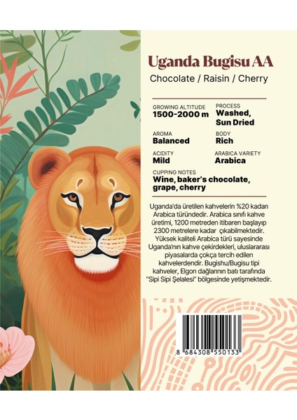 Uganda Bugisu Aa Yöresel Filtre Kahve 250 gr fiyatları