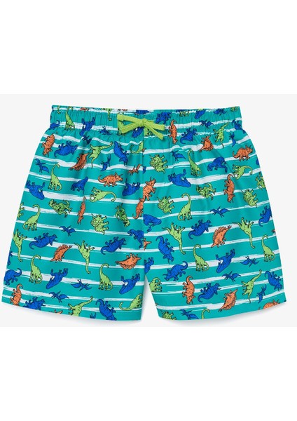 Erkek Çocuk Striped Dinosaur Çokrenkli Şort