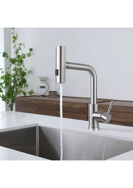 Çok Modlu Inox Mutfak Evye Bataryası Mat Gri Musluk Spiralli Çek Bırak Başlık Yağmurlama indirimleri