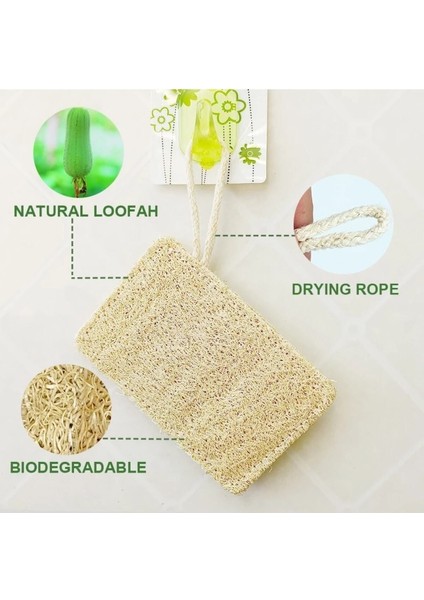 Doğal Kabak Lifli Organik Bulaşık Süngeri, 3 Adet, Temizliğin Doğal Yolu