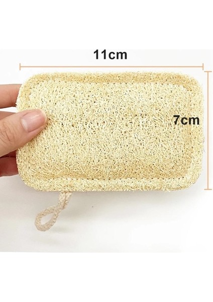 Doğal Kabak Lifli Organik Bulaşık Süngeri, 3 Adet, Temizliğin Doğal Yolu