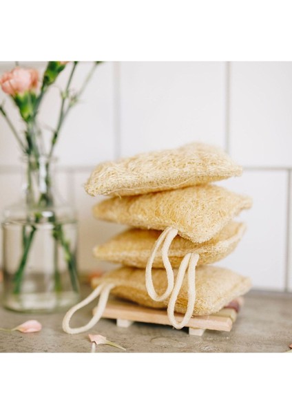 Doğal Kabak Lifli Organik Bulaşık Süngeri, Çevre Dostu Temizlik Için Ideal.