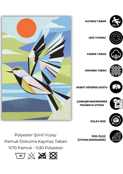 Kuş Desenli Çok Renkli Modern Halı Dijital Baskılı Dokuma Kaymaz Tabanlı Yıkanabilir Antre Halısı fırsatları