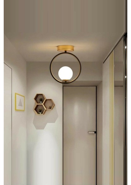 Mila Modern Kapalı Camlı Tekli Avize