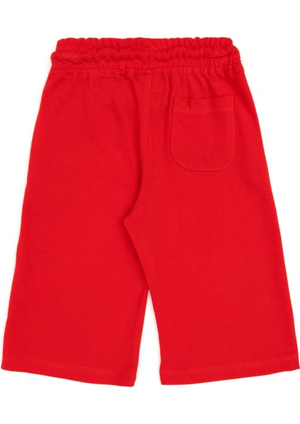 Erkek Çocuk Kırmızı Şort (Örme) 50298078-VR030 fiyatları