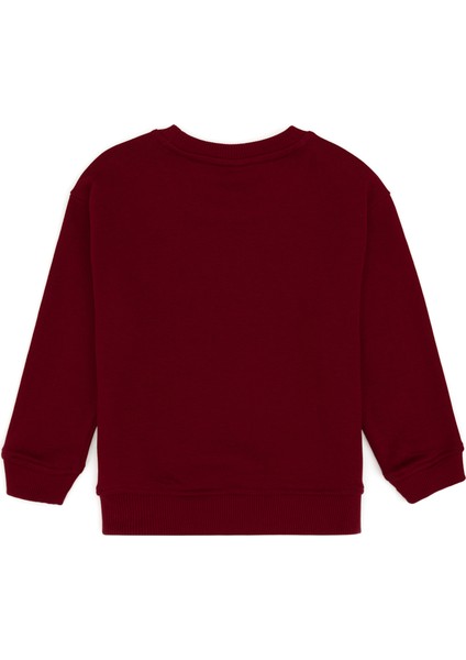 Erkek Çocuk Bordo Sweatshirt 50313843-VR014 fiyatları
