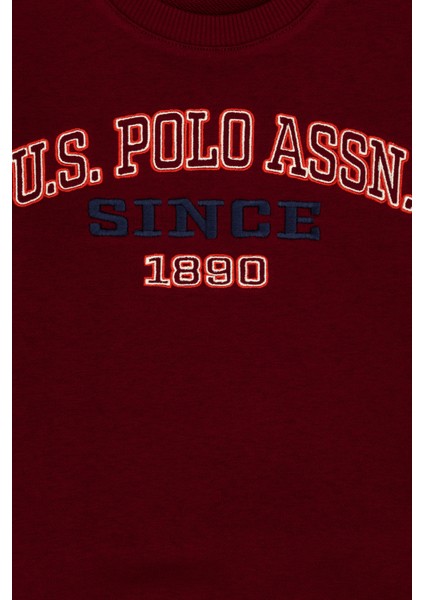 Erkek Çocuk Bordo Sweatshirt 50313843-VR014 modelleri