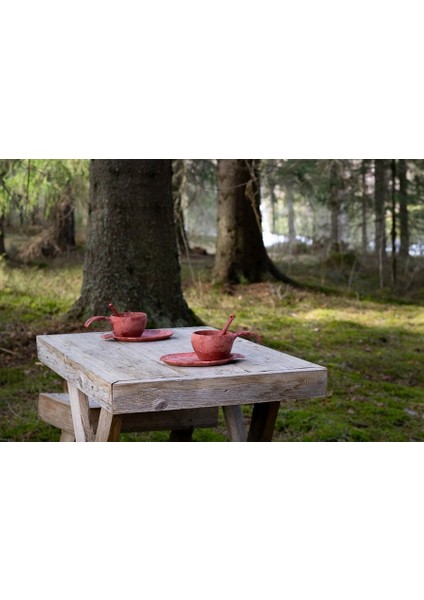 Slow Down Bardak Tabak Kaşık Set Kırmızı Mz fiyatları