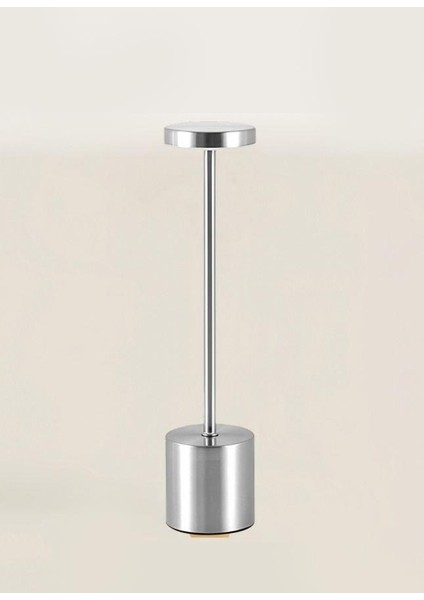 Gümüş Çubuk Model Ledli Masa Lambası 33CM