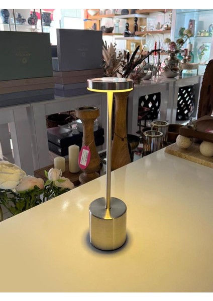 Gümüş Çubuk Model Ledli Masa Lambası 33CM modelleri