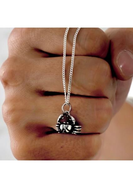 Gümüş Mini Yengeç Kolye 925 Ayar Gümüş Minik Boy Yengeç Figürlü Unisex Kolye fırsatları