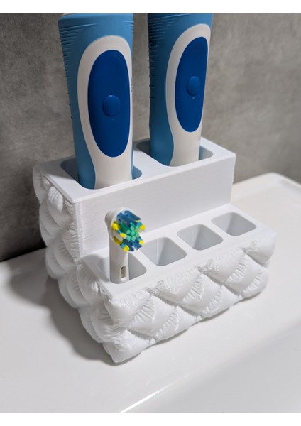 Oral-B Diş Fırçası ve Başlık Tutucu fiyatları