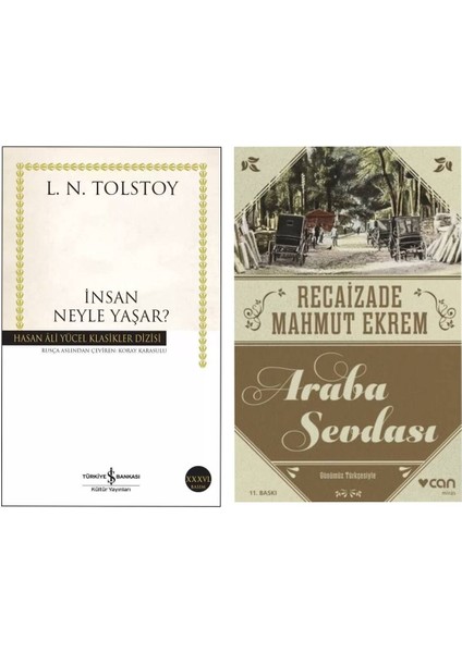 Insan Neyle Yaşar? - Araba Sevdası - Recaizade Mahmut Ekrem