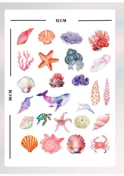 Mercan Temalı Sticker Seti Bullet Journal Ajanda Için Uygun Set