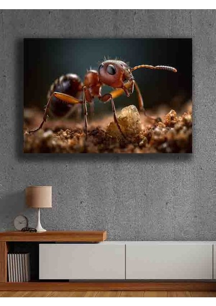 Çerçevesiz Kendinden Yapışkanlı Tablo Görünümlü Duvar Posteri Çerçevesiz Çıtasız