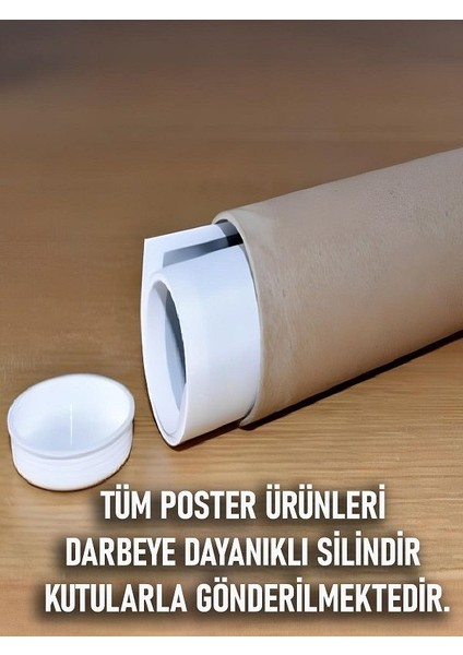 Çerçevesiz Kendinden Yapışkanlı Tablo Görünümlü Duvar Posteri Çerçevesiz Çıtasız modelleri