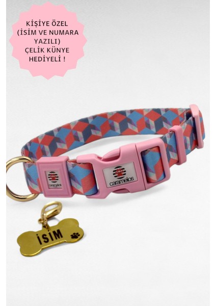 Isimli Köpek Tasması, Isimli Tasma, Orta ve Büyük Irk Tasma 2 fiyatları