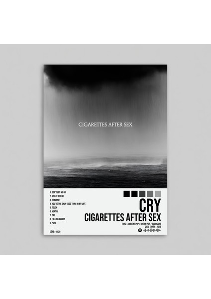 Cigarettes After Sx - Cry Albüm Spotify Çerçeveli - Çerçevesiz Poster Tablo