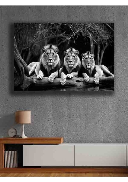 Çerçevesiz Kendinden Yapışkanlı Tablo Görünümlü Duvar Posteri Çerçevesiz Çıtasız