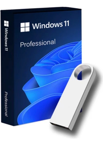 WINDOWS11 Pro Freedos Sistem Için Yükleme USB İşletim sistemleri