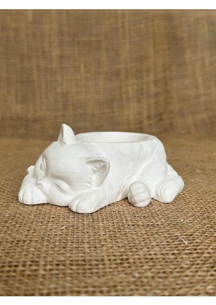 Uyuyan Kedi Minimalist Dekoratif Kaktüs ve Sukulent Saksısı, Beyaz Renkli Hediyelik Kaktüs ve Sukulent Saksısı , Ev Dekoru, Masa Dekoru fırsatları