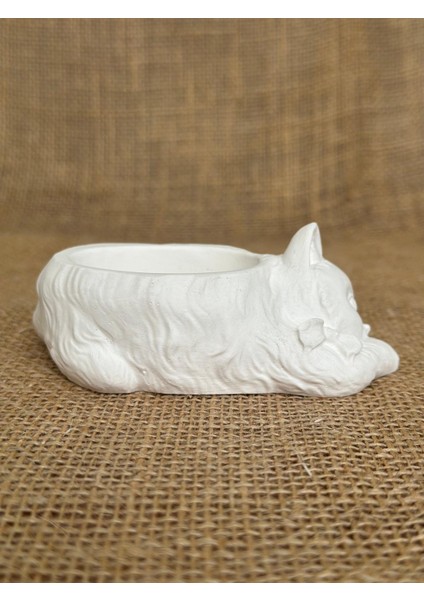Uyuyan Kedi Minimalist Dekoratif Kaktüs ve Sukulent Saksısı, Beyaz Renkli Hediyelik Kaktüs ve Sukulent Saksısı , Ev Dekoru, Masa Dekoru indirimleri