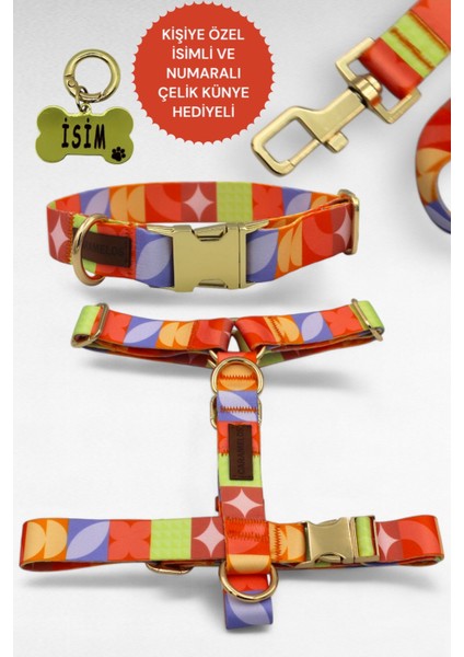 Köpek Tasması- Köpek Tasma Seti- Isimli Köpek Tasma Metal Kilit 1