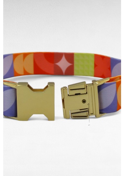 Köpek Tasması- Köpek Tasma Seti- Isimli Köpek Tasma Metal Kilit 1 fiyatları