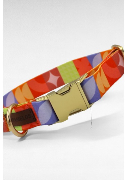 Köpek Tasması- Köpek Tasma Seti- Isimli Köpek Tasma Metal Kilit 1 modelleri