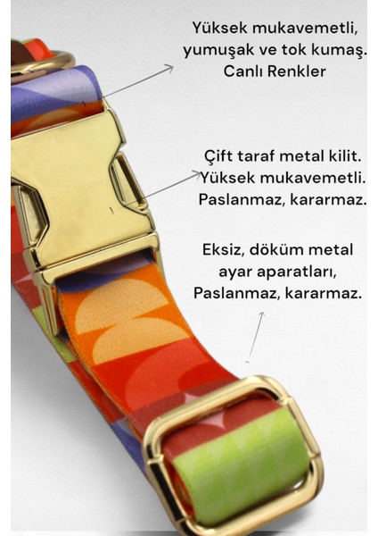 Köpek Tasması- Köpek Tasma Seti- Isimli Köpek Tasma Metal Kilit 1 fırsatları