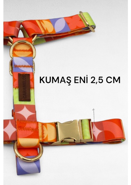 Köpek Tasması- Köpek Tasma Seti- Isimli Köpek Tasma Metal Kilit 1 indirimleri