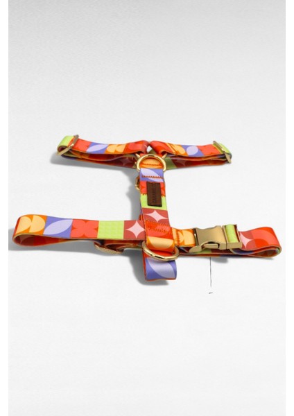 Köpek Tasması- Köpek Tasma Seti- Isimli Köpek Tasma Metal Kilit 1