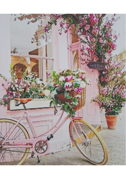 5d Elmas Taş Işleme Kiti 40X50 cm Pembe Bisiklet Desen fiyatları